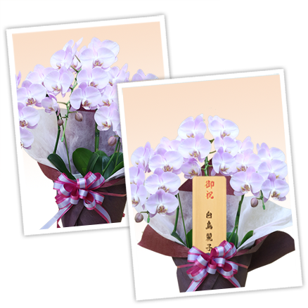 ★ご注文品★英ウクライナ3種80枚（詳細参照） smp_main_2_z2.png