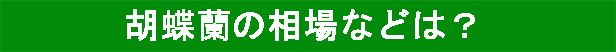 胡蝶蘭の相場は？