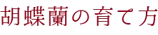 胡蝶蘭の育て方